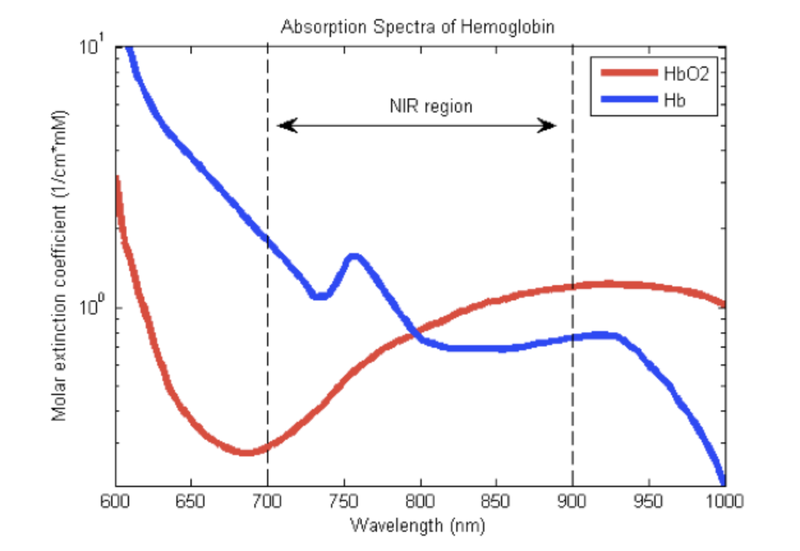 File:Oxy and Deoxy Hemoglobin Absorption.png